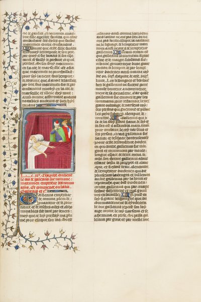 La putrefazione della carne dell